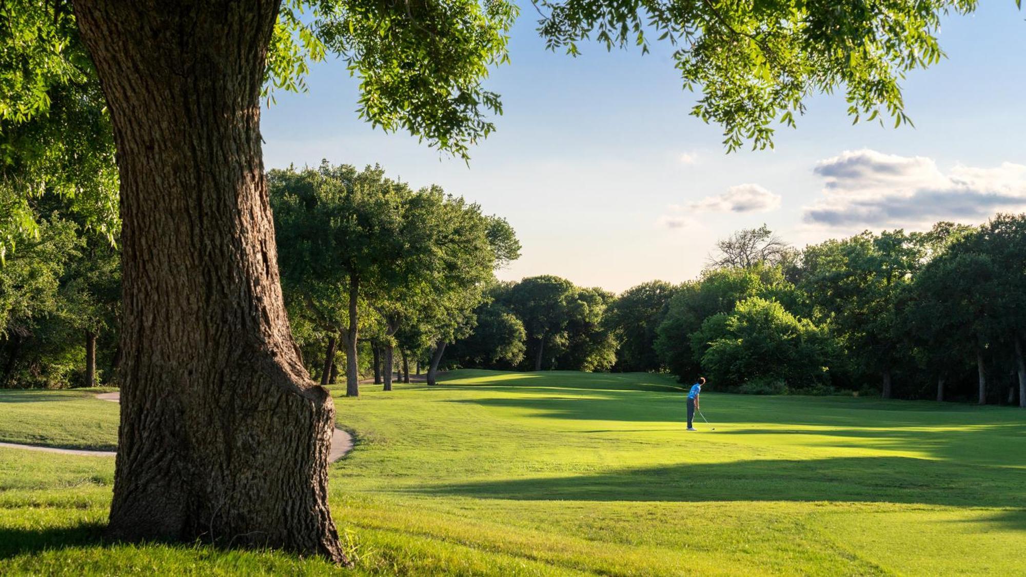Dallas/Fort Worth Marriott Hotel & Golf Club At Champions Circle Roanoke Extérieur photo
